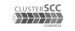 Cluster-SCC